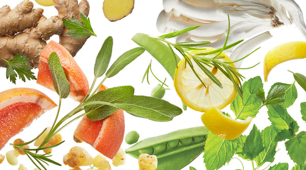 Our Favorite Botanicals: These Are Skincare Game Changers – Tuel | Berodin